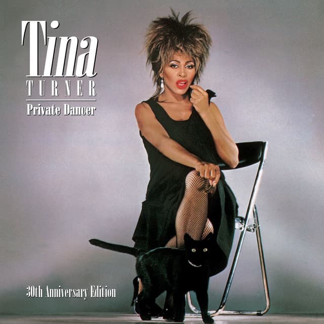 PRIVATE DANCER