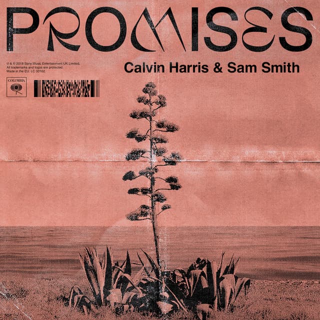 PROMISSES
